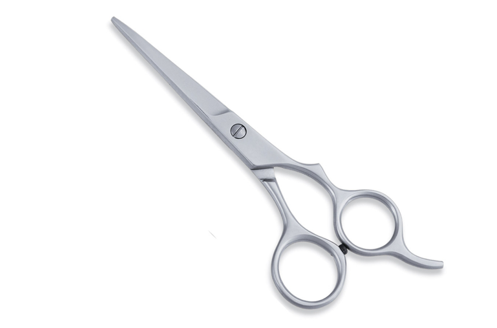 Economy Hair Scissors