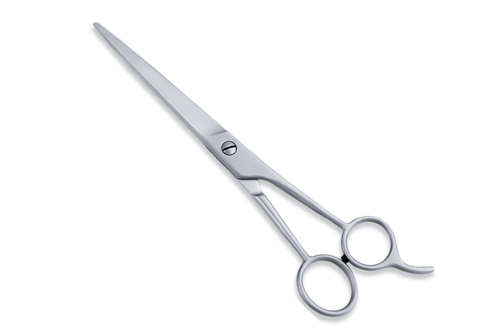 Economy Hair Scissors