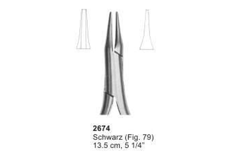 Schwarz (Fig. 79)