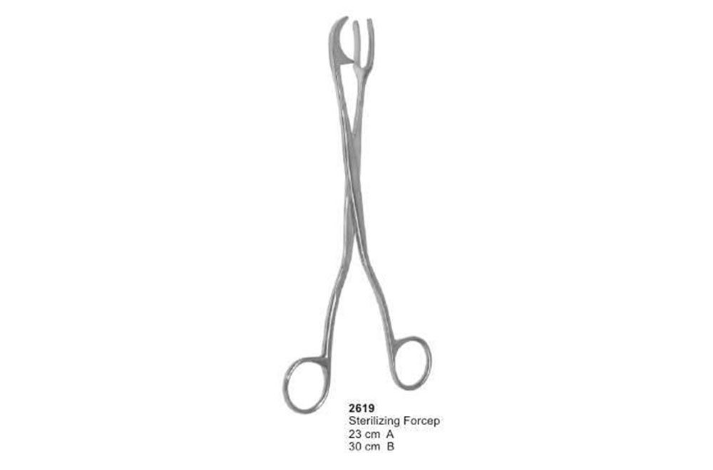 Sterilizing Forceps Curved