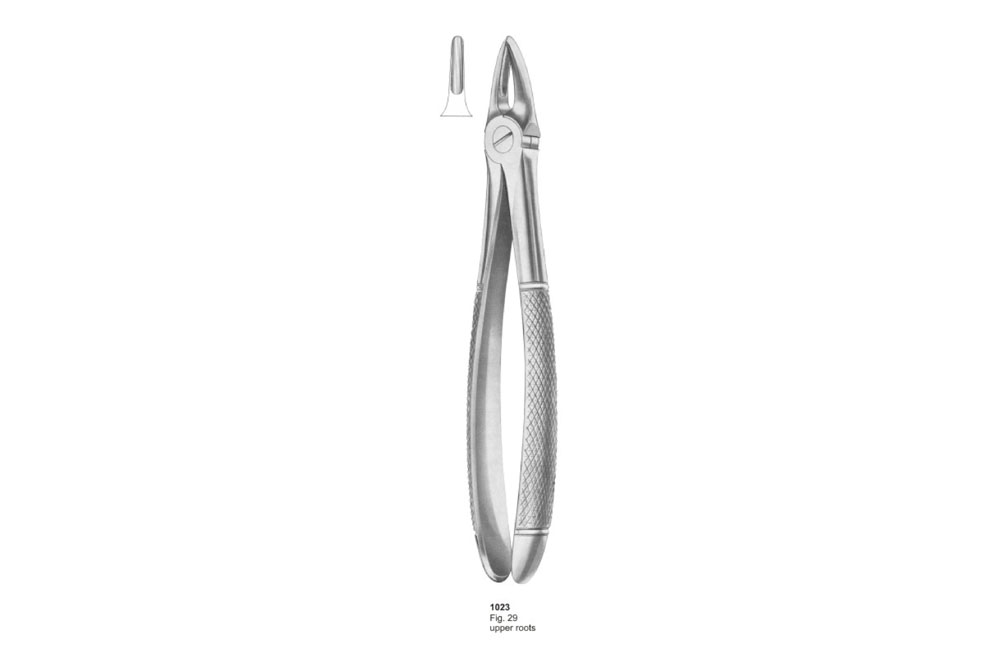 Extracting Forceps